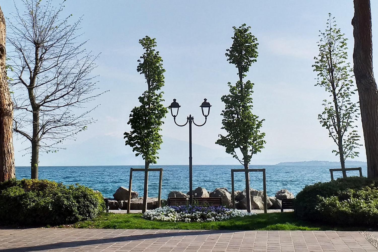 Appartamento Agli Ulivi Desenzano del Garda Bagian luar foto