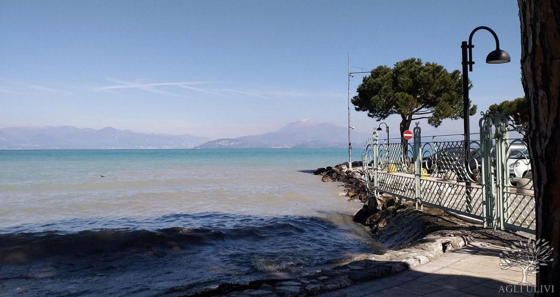 Appartamento Agli Ulivi Desenzano del Garda Bagian luar foto